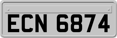 ECN6874