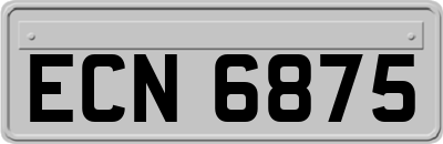 ECN6875