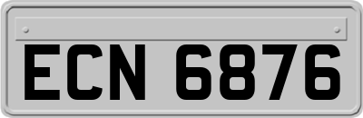 ECN6876