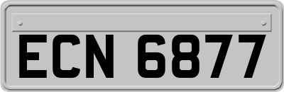 ECN6877