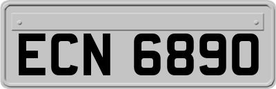 ECN6890
