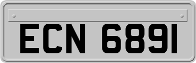 ECN6891