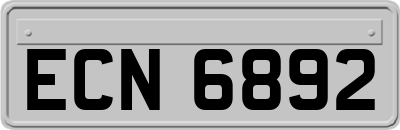 ECN6892