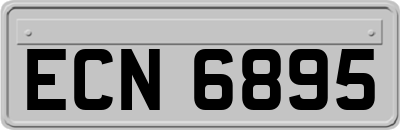 ECN6895