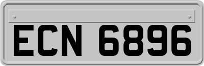 ECN6896