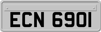 ECN6901