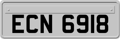 ECN6918