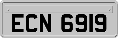 ECN6919