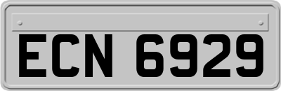 ECN6929