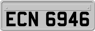 ECN6946