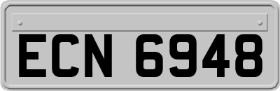 ECN6948