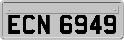 ECN6949