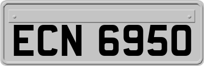 ECN6950