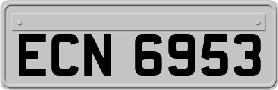 ECN6953