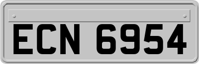 ECN6954