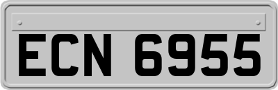 ECN6955