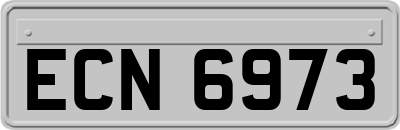 ECN6973