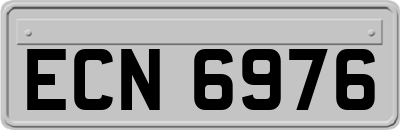 ECN6976