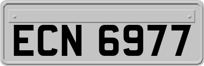 ECN6977
