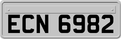 ECN6982