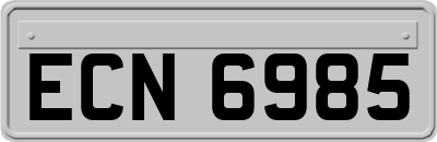 ECN6985