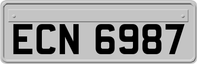 ECN6987