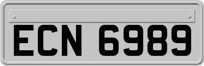 ECN6989