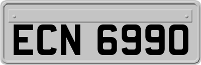ECN6990