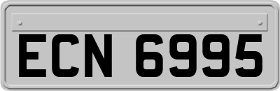 ECN6995