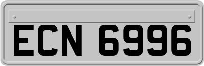 ECN6996