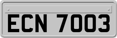 ECN7003