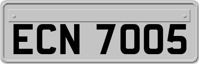 ECN7005