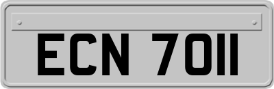 ECN7011