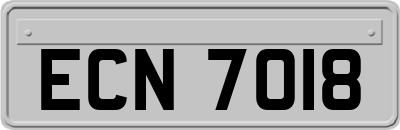 ECN7018
