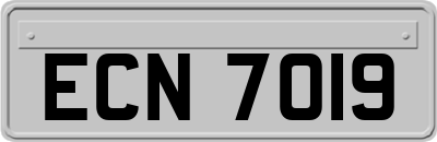 ECN7019