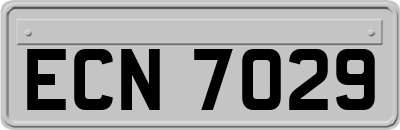 ECN7029