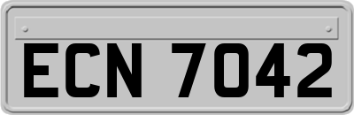 ECN7042