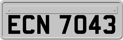 ECN7043