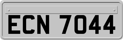 ECN7044
