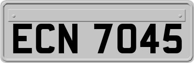 ECN7045