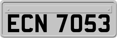 ECN7053