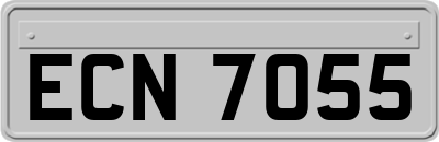 ECN7055