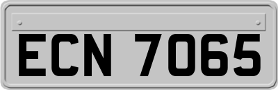 ECN7065