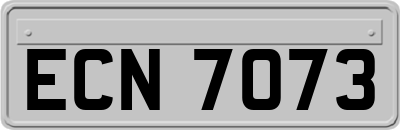 ECN7073