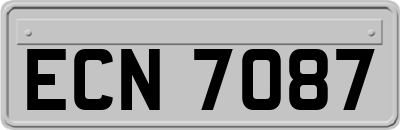 ECN7087