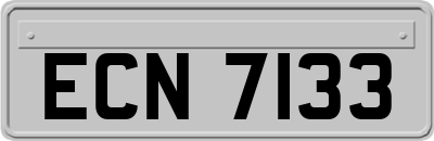 ECN7133