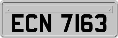 ECN7163