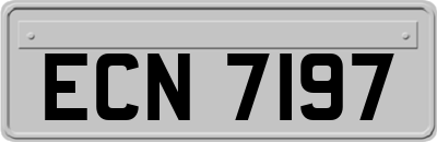ECN7197