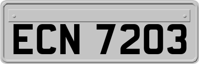 ECN7203