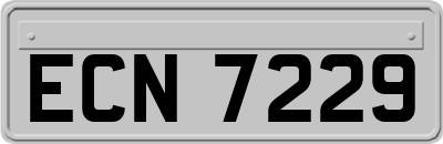 ECN7229